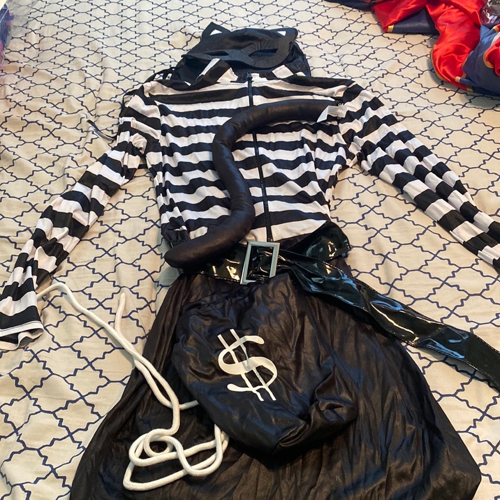Cat Burglar Adult Costume